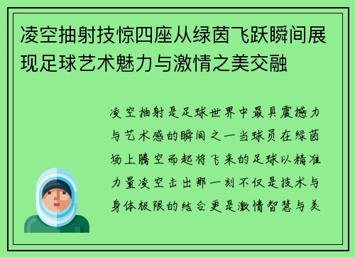 凌空抽射技惊四座从绿茵飞跃瞬间展现足球艺术魅力与激情之美交融